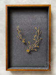 Rustic Lotus Hairpiece Pair - 18k Yellow Gold (1 pair)
