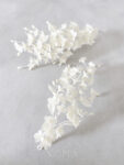 CC White Petals Side Hairvine Set - White Silver, White (2 pcs)