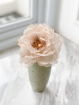 SS Nude Floral Brooch/Hairclip - Gold, Nude