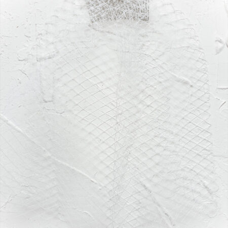 Veil Haircomb - White
