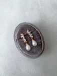 Scenery Earrings - 18k Rose Gold, White Pearl