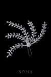 Crystal Side Hairvine - White Gold