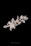 ACC-202300015-Intricate-Woven-Vinery-Side-Hairvine-Gold