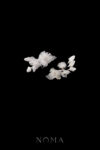 FLR-202200028-Jasmine-Bouquet-Large-Hairpin-Set-Silver-White-2-pcs