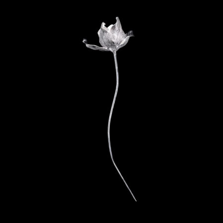 Natural Floral Pin - Unplated Silver