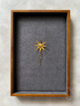 925-201900014-Constellation-Pin-S-18k-Yellow-Gold