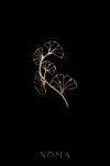 925-202300024-Ginkgo-Branches-Side-HairvineBrooch-18k-Yellow-Gold-Left