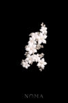Clay Flower Jasmine Arrangement Side Hairvine - White Silver