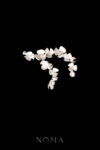 ACC-202300110-Clay-Flower-Triple-Mix-Double-Curve-Hairvine-White-Silver