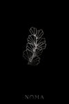 DJW-202400007-Minimalist-Leafy-Hairvine-Rhodium-White-Gold