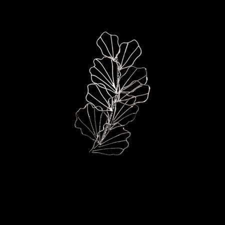 Minimalist Leafy Hairvine - Rhodium White Gold