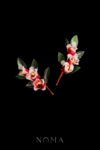 FLR-202400004-CG-Peony-Bloom-Side-HairvineBrooch-Gold-Red