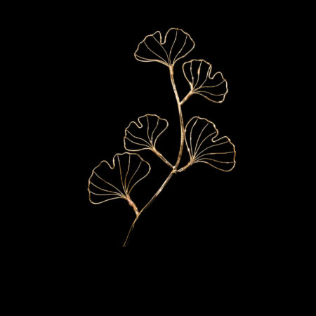 Ginkgo Wire Art Hairvine - Gold