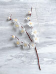 FLR-202200017-HS-Ume-Ikebana-Hairvine-Set-White-Silver-White-2-pcs