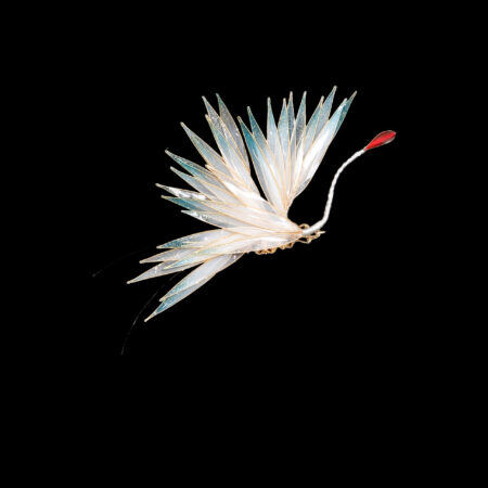 LR Flying Crane Side Hairclip - Gold, White