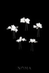 CC Magnolia Garden with Pearl Hairpin Set - White Silver, White (5 pcs)