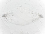White Pearled Veil - White