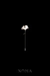 MEN-202400017-Ginkgo-Petal-Lapel-Pin-Rhodium-White-Gold