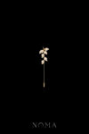 Paved Twigs Lapel Pin - 18k Yellow Gold
