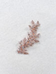 ACC-202100188-Paved-Twigs-Side-Hairvine-or-Brooch-Rose-Gold-Right