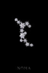 ACC-202300046-Snowflakes-Arrangement-Side-Hairvine-White-Gold-Left