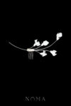 FLR-202400033-CC-Sweet-Pea-Modern-Haircomb-White-Silver-White