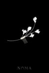 FLR-202400033-CC-Sweet-Pea-Modern-Haircomb-White-Silver-White
