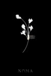 FLR-202400033-CC-Sweet-Pea-Modern-Haircomb-White-Silver-White