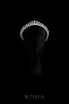 WDC-202500001-Extravagant-Pear-Crown-Rhodium-White-Gold-White-Diamond