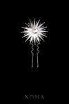 925-201900018-Constellation-Pin-L-Rhodium-White-Gold