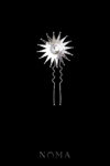 Constellation Pin M - Rhodium White Gold