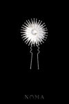 Constellation Pin XL - Rhodium White Gold