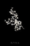 925-202400014-Asymmetrical-Orchid-Floral-Tree-Hairvine-Doff-Silver