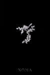 Bird Chirping in the Garden Earpiece - White Gold (Left)