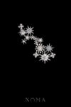 ACC-202400065-Spiky-Meteorite-Sparkle-HairvineBrooch-White-Gold
