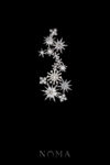 ACC-202400065-Spiky-Meteorite-Sparkle-HairvineBrooch-White-Gold