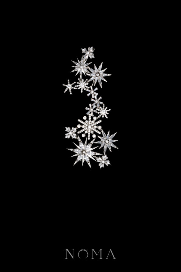 ACC-202400065-Spiky-Meteorite-Sparkle-HairvineBrooch-White-Gold