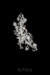 ACC-202400068-Beautiful-Petite-Branch-Side-Hairvine-White-Silver-Left