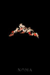 CHN-202300087-Crane-Ginkgo-Harmony-Side-Hairvine-Gold-Ruby-Right